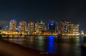 Stadsgezicht Rotterdam vanaf Erasmusbrug van Sebastian Stef