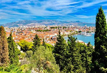 Panorama Split