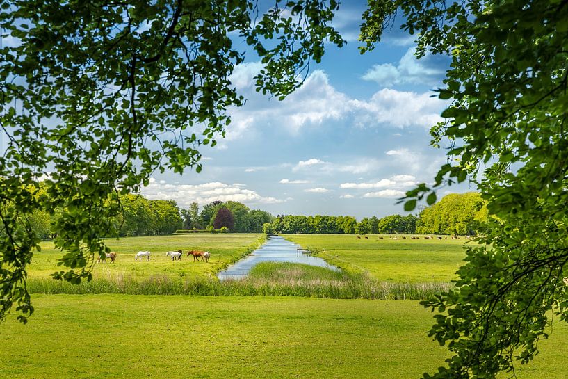 Primeval Dutch Landscape - Peace and Nature in Perfect Harmony by vincent janssen