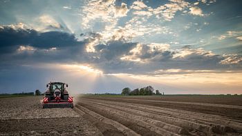 Akkerbouw in Groningen