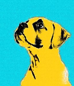 Dog Case - 01c15a9