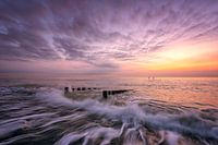 The Wave