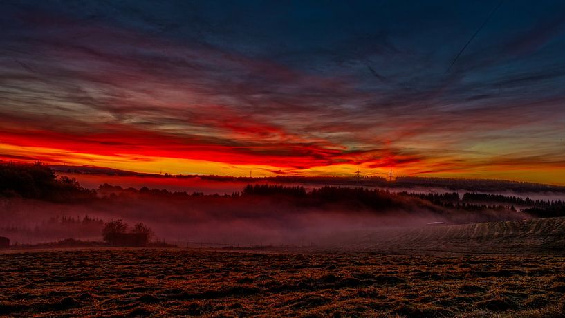 La haute forêt par PhotoArtistWinni