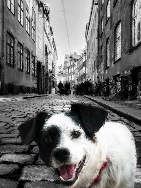 Patch by Marjoline Delahaye