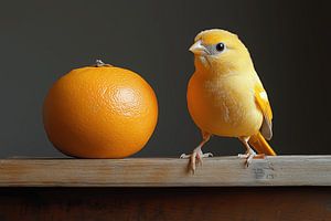 Kanarienvogel mit Orange (nach dem Vorbild von Henk Helmantel)