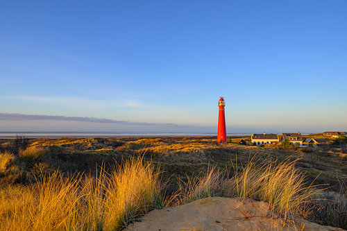 Panoramablick auf Schiermonnikoog in den Dünen mit dem Leuchtturm von Sjoerd van der Wal Fotografie