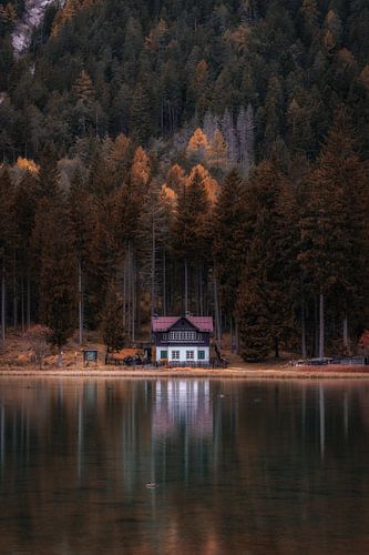 The House by the Lake van Mario Calma
