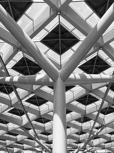 Architecture La Haye centrale