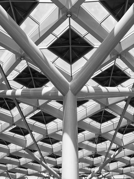 Architecture La Haye centrale par Robbin Metz