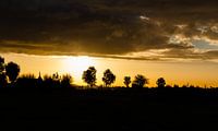 Polder sunrise