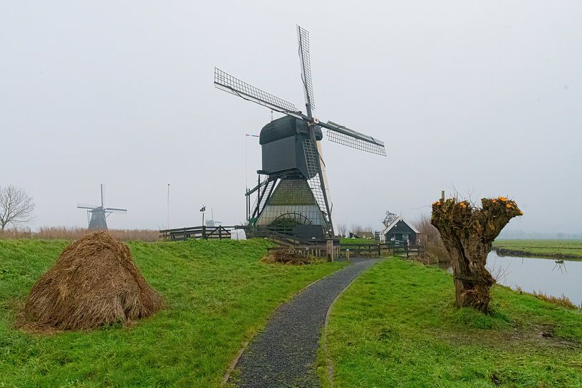 Kinderdijk Windmühle im Nebel von Merijn Loch