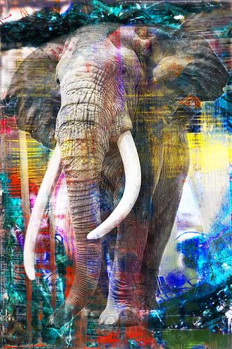 Great Elephant door Richter, Brandt and Zanolino