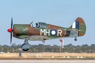 CAC CA-13 Boomerang, Suzy-Q. van Jaap van den Berg thumbnail