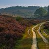 Un chemin de terre sur la Posbank sur Anges van der Logt