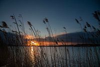 Sonnenuntergang in Ostfriesland. Auf der Leda