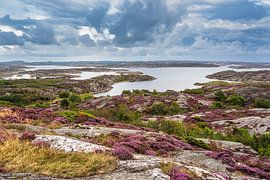 Paysage sur l'île de Tjörn en Suède sur Rico Ködder