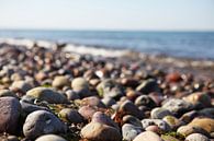 Steine an der Küste des Meeres von Frank Herrmann Miniaturansicht