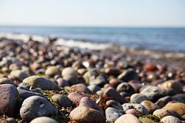 Steine an der Küste des Meeres von Frank Herrmann