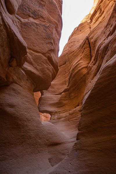 Canyon in de Sinaï Woestijn in Egypte van Marjan Schmit Visser