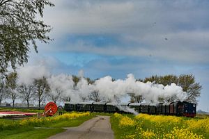 Tulpenzug