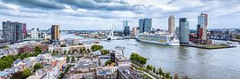 Skyline of Rotterdam - Visit of Harmony of the Seas van Sylvester Lobé