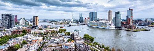 Skyline of Rotterdam - Visit of Harmony of the Seas