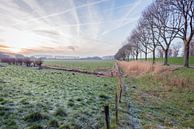 Nederlands polderlandschap in winter van Ruud Morijn thumbnail
