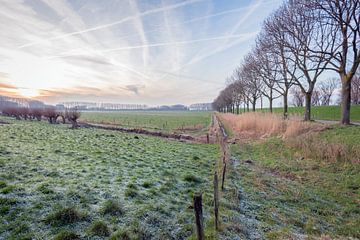 Niederländische Polderlandschaft in der Wintersaison