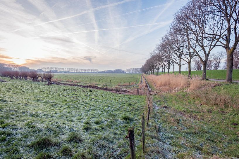 Nederlands polderlandschap in winter van Ruud Morijn