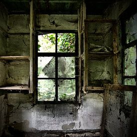 Fenster, Urbex Belgien von Taco Bijlsma