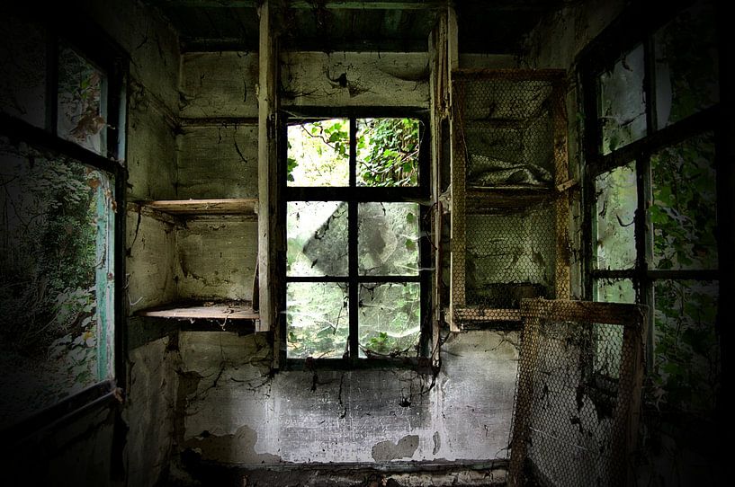 Window, Urbex Belgium by Taco Bijlsma