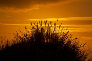 Sonnenaufgangstrand Schiermonnikoog