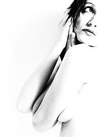 Nude van Falko Follert