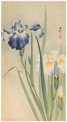 Ohara Koson - Iris and bee (edited)