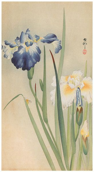 Ohara Koson - Schwertlilie und Biene (bearbeitet) von Peter Balan