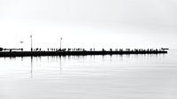 Molo Audace - Trieste by artpictures.de thumbnail