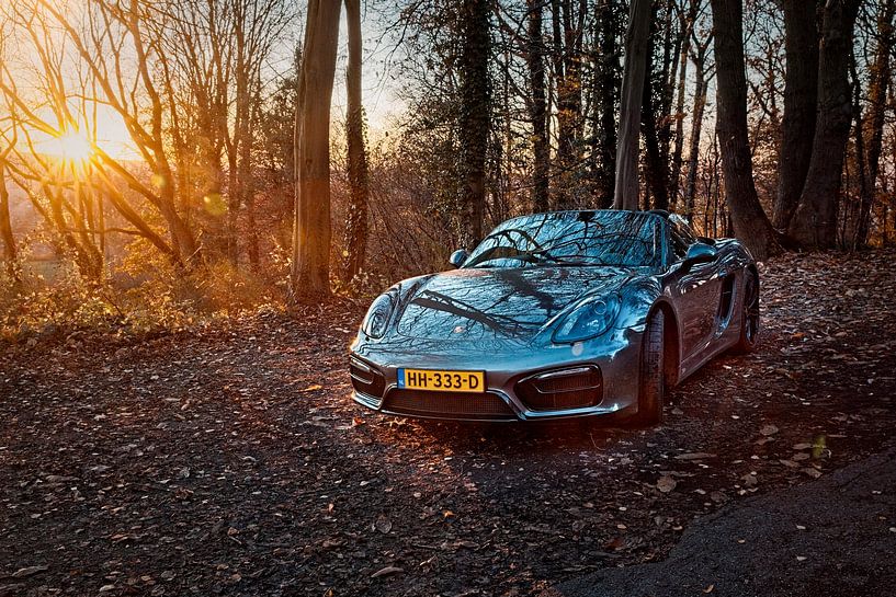 Porsche Boxster GTS Typ 981 von Rob Boon