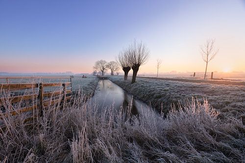 winterlandschap in de Nederlandse polder
