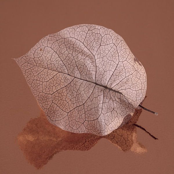 Together with my reflection: Pink leaf with old pink reflection by Marjolijn van den Berg