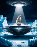 IJsbeer op een UFO in Antarctica