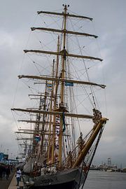 Sail  Den Helder 2017 