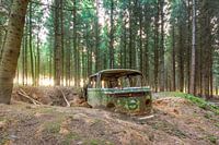 lost in the woods