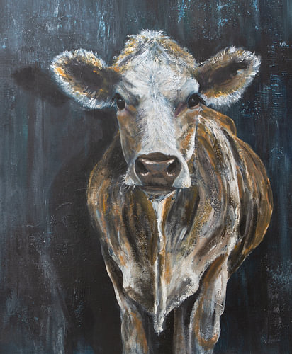 Rosie, the young cow.