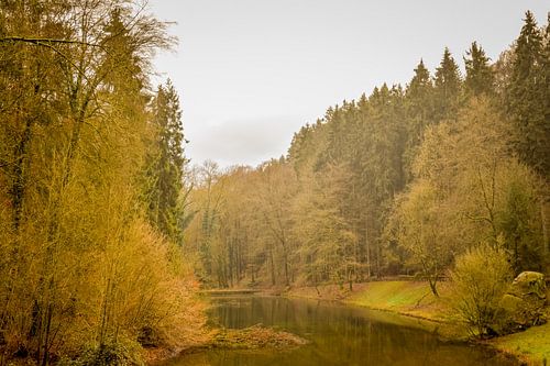 Nature photo Mullerthal, Luxembourg