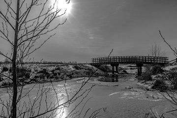 Brug naar het Geluk van Roland's Foto's