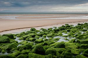 Green stones von Davy Sleijster