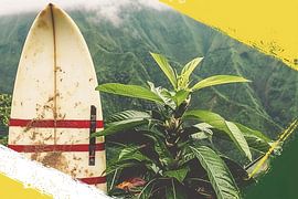 Surfboard and tropical plant with mountain view by Art & Soul Creations