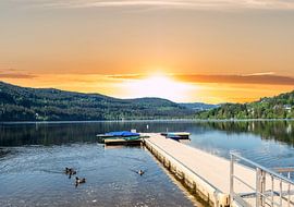 Titisee in the sunset Upper Black Forest by Animaflora PicsStock