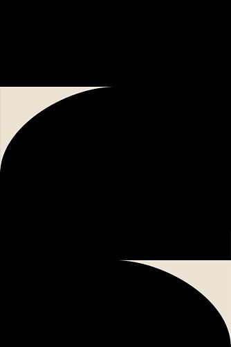 Abstracte vormen in zwart-wit IX