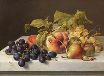 Fruitstilleven, Johann Wilhelm Preyer